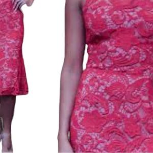 New York & Co. Pink Crochet Midi Dress Floral Pattern w/Beige Lining Zip Size 6